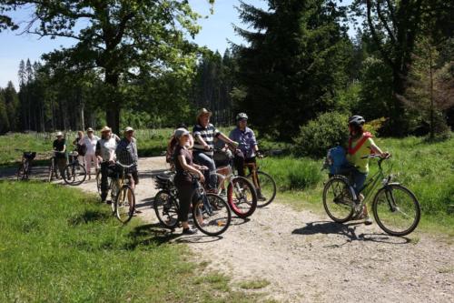 k-01-2019-06-Radltour-Forstenrieder-Park