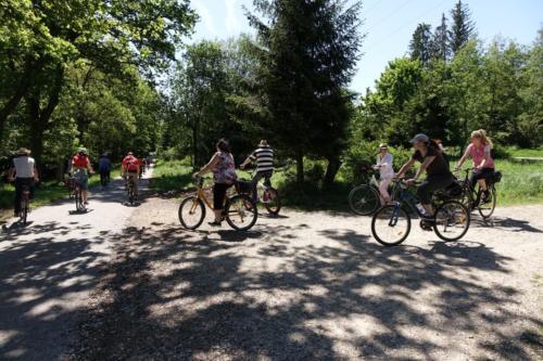 k-02-2019-06-Radltour-Forstenrieder-Park
