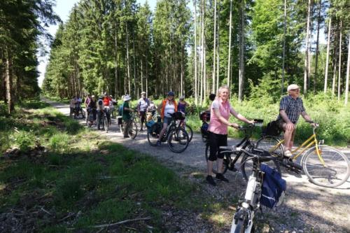 k-03-2019-06-Radltour-Forstenrieder-Park