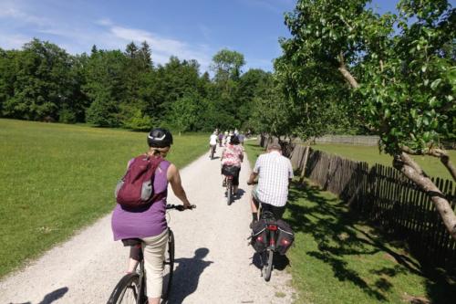 k-12-2019-06-Radltour-Forstenrieder-Park