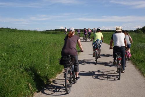 k-13-2019-06-Radltour-Forstenrieder-Park