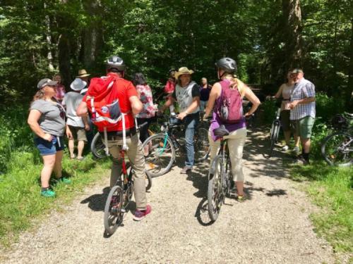 k-18-2019-06-Radltour-Forstenrieder-Park