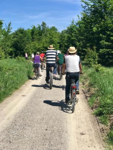 k-21-2019-06-Radltour-Forstenrieder-Park