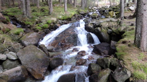 SAMSUNG CAMERA PICTURES