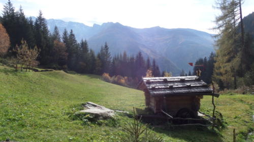 SAMSUNG CAMERA PICTURES